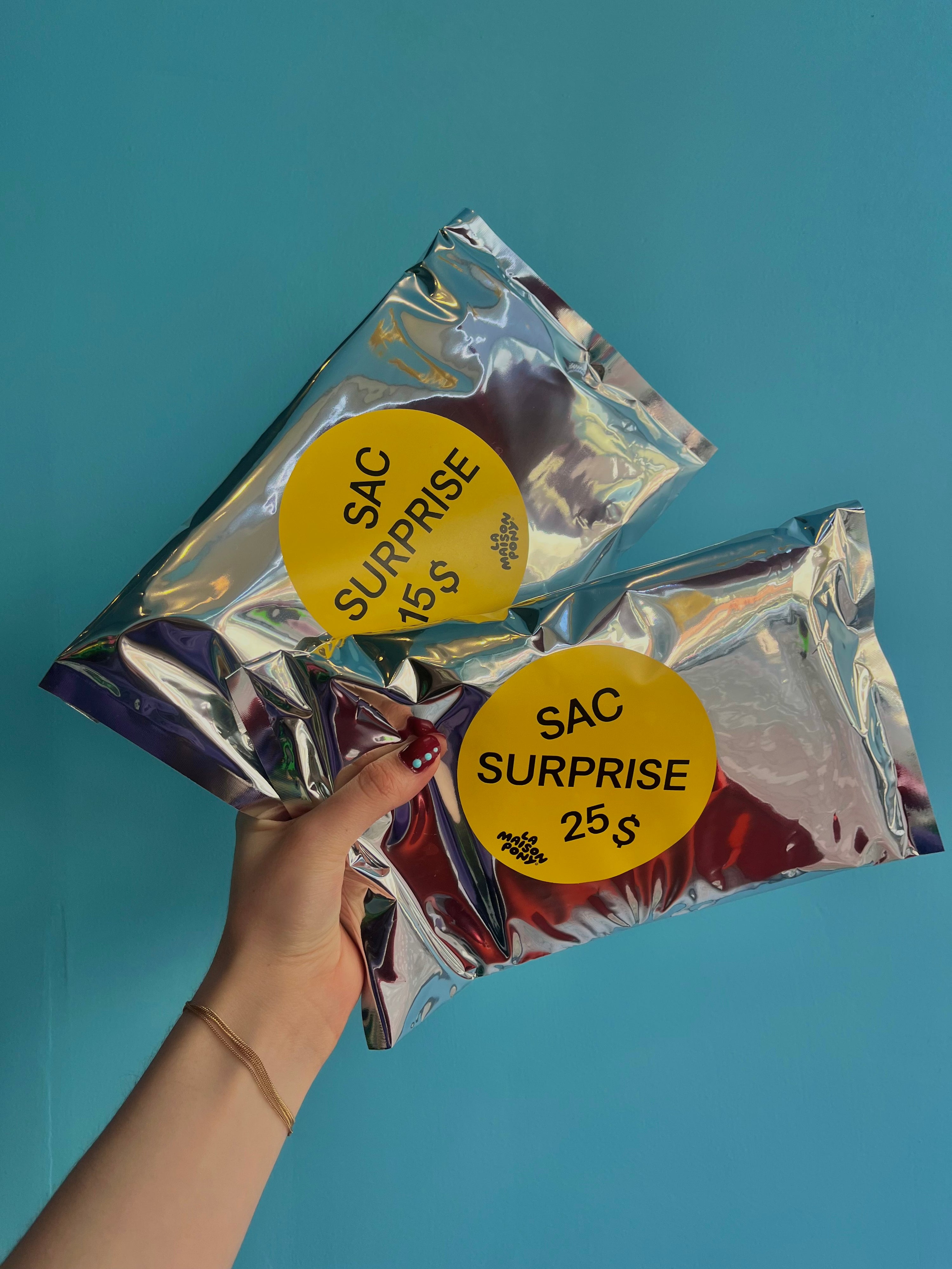 Sac suprise - 25$